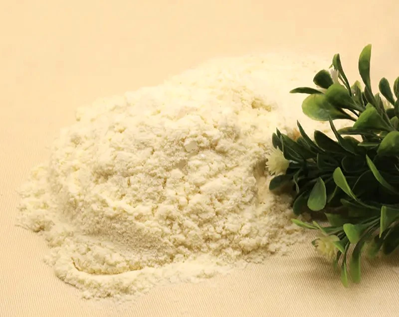 Pediococcus Pentosaceus Powder Pediococcus Pentosaceus Powder