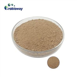 Micribhithe Cothaithe Bacillus Amyloliquefaciens