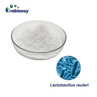 Ardchobhsaíocht Lactobacillus Reuteri