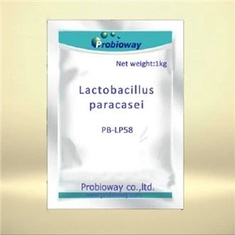Lactobacillus Paracasei Postbiotics